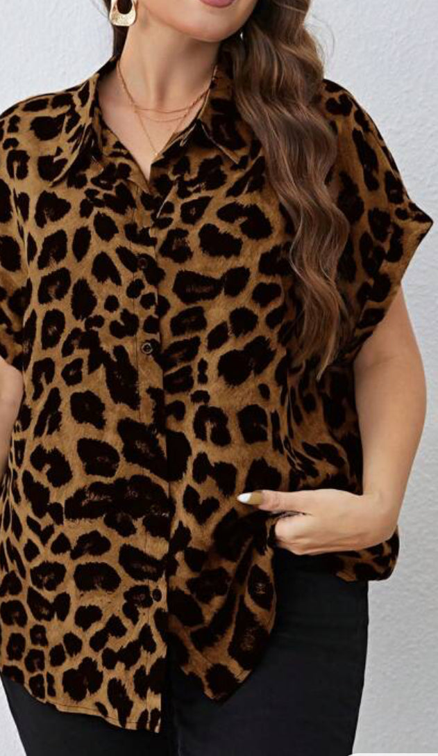 Leopard Print Batwing Sleeve Shirt