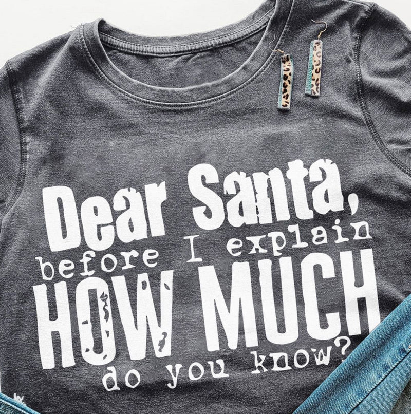 Gray Santa Funny Tee